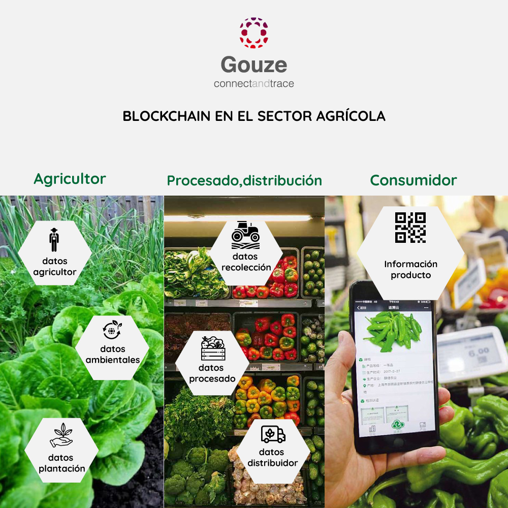 Blockchain en el sector agrícola