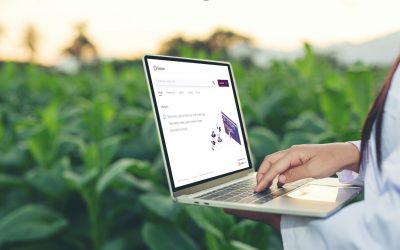 Blockchain Traceability in the agrifood